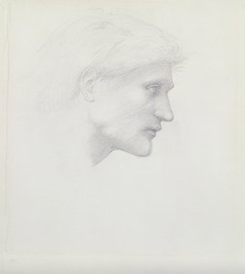 Alessandro di Marco - Head Study by Edward Burne Jones